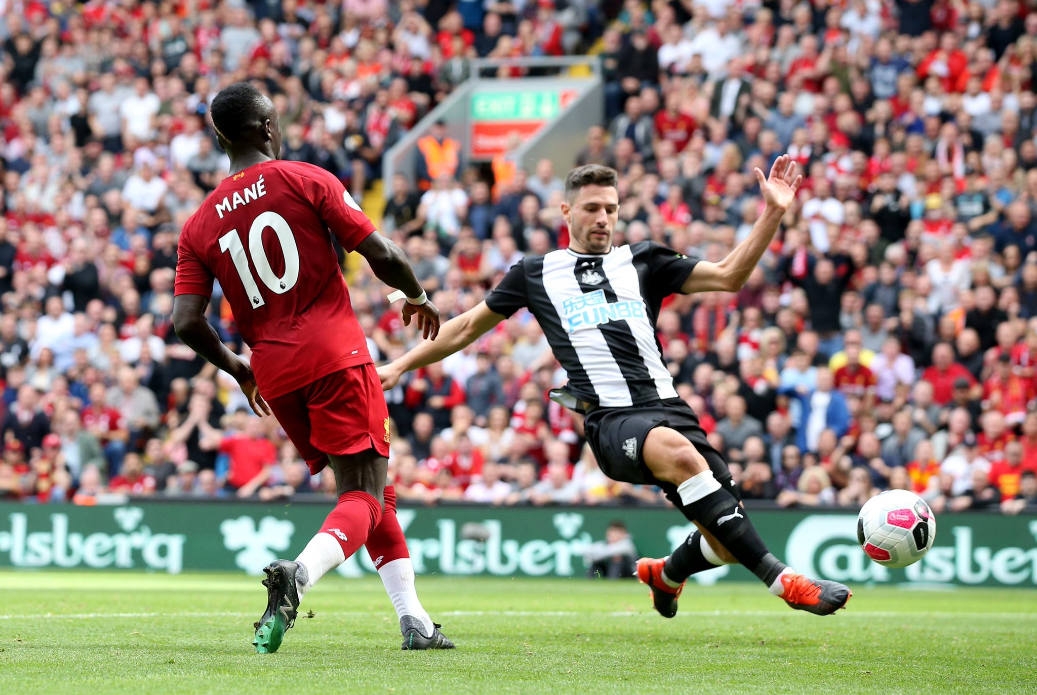 这只猫咪不 这只猫咪不